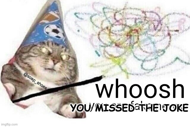 Woosh cat | YOU MISSED THE JOKE | image tagged in woosh cat | made w/ Imgflip meme maker