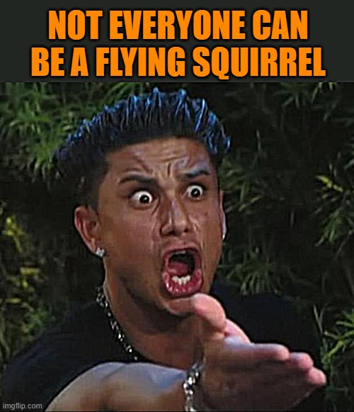 DJ Pauly D Meme | NOT EVERYONE CAN BE A FLYING SQUIRREL | image tagged in memes,dj pauly d | made w/ Imgflip meme maker