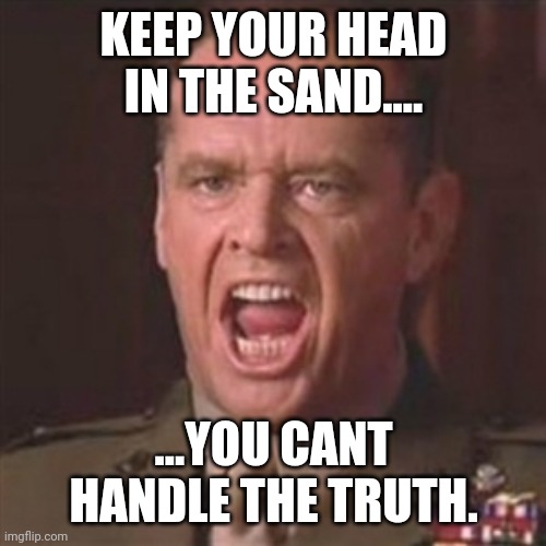 You can't handle the truth | KEEP YOUR HEAD IN THE SAND.... ...YOU CANT HANDLE THE TRUTH. | image tagged in you can't handle the truth | made w/ Imgflip meme maker