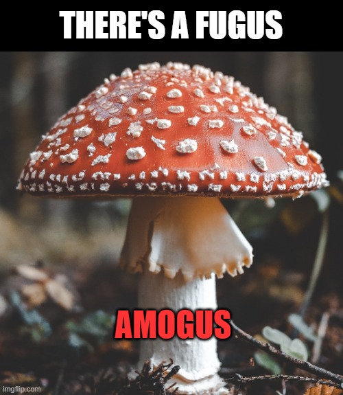 FUGUS AMOGUS | THERE'S A FUGUS; AMOGUS | image tagged in amogus,among us,sus,mushroom,among,us | made w/ Imgflip meme maker