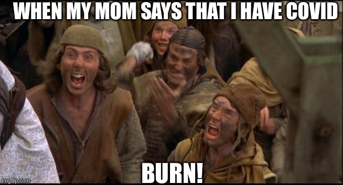 I’ve experienced diz broz | WHEN MY MOM SAYS THAT I HAVE COVID; BURN! | image tagged in monty python witch | made w/ Imgflip meme maker