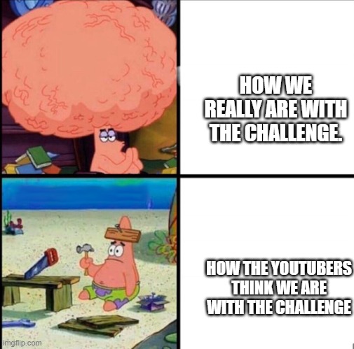 patrick big brain | HOW THE YOUTUBERS THINK WE ARE WITH THE CHALLENGE HOW WE REALLY ARE WITH THE CHALLENGE. | image tagged in patrick big brain | made w/ Imgflip meme maker