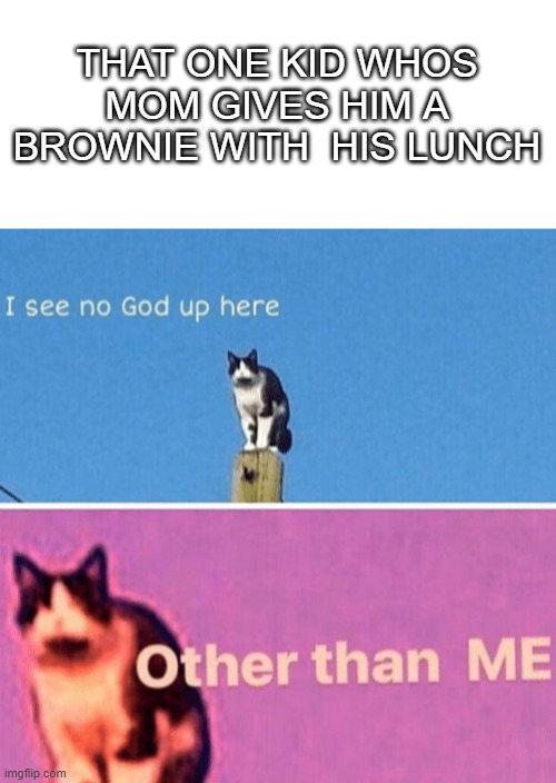 my mom gives me carrots :C | THAT ONE KID WHOS MOM GIVES HIM A BROWNIE WITH  HIS LUNCH | image tagged in blank white template,hail pole cat | made w/ Imgflip meme maker