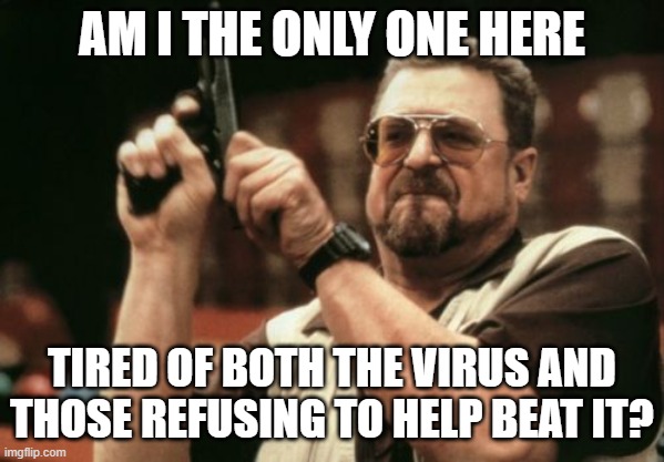 Am I The Only One Around Here Meme | AM I THE ONLY ONE HERE TIRED OF BOTH THE VIRUS AND THOSE REFUSING TO HELP BEAT IT? | image tagged in memes,am i the only one around here | made w/ Imgflip meme maker