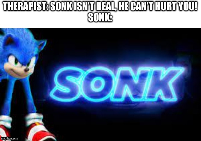 S O N K |  THERAPIST: SONK ISN'T REAL, HE CAN'T HURT YOU!
SONK: | image tagged in sonk,lol,confused screaming | made w/ Imgflip meme maker
