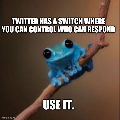 Fun Fact Frog | TWITTER HAS A SWITCH WHERE YOU CAN CONTROL WHO CAN RESPOND USE IT. | image tagged in fun fact frog | made w/ Imgflip meme maker