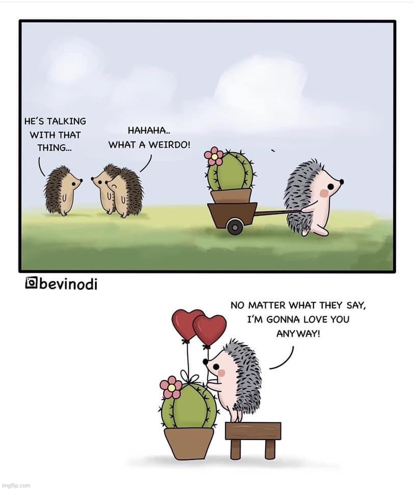 Not sure if this meme promotes plant-beast relations, but seemed wholesome enough | image tagged in hedgehog comic,cactus,repost,wholesome,comics/cartoons,hedgehog | made w/ Imgflip meme maker