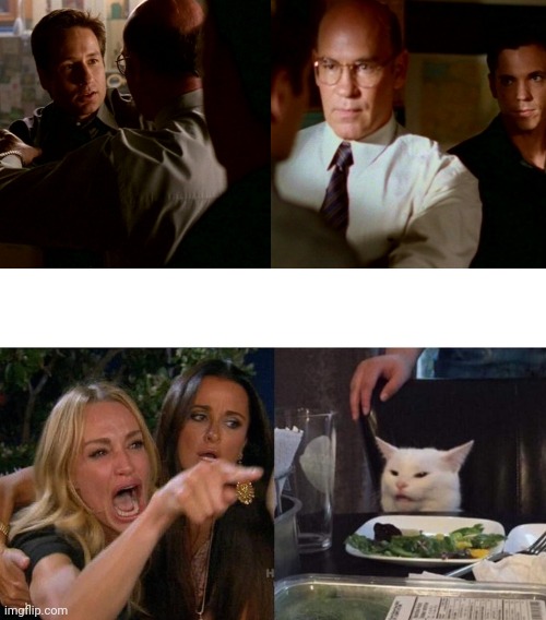 It was right in front of me the whole time | image tagged in memes,woman yelling at cat,x-files,fox mulder the x files | made w/ Imgflip meme maker