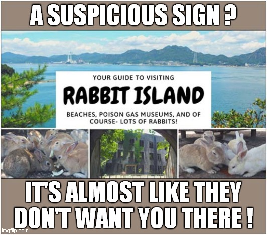 Interesting Visitor Attractions ? | A SUSPICIOUS SIGN ? IT'S ALMOST LIKE THEY DON'T WANT YOU THERE ! | image tagged in rabbits,island,sign | made w/ Imgflip meme maker