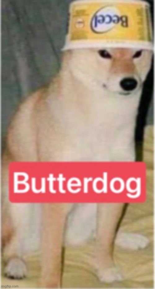 Butterdog | image tagged in butter,dog,repost | made w/ Imgflip meme maker