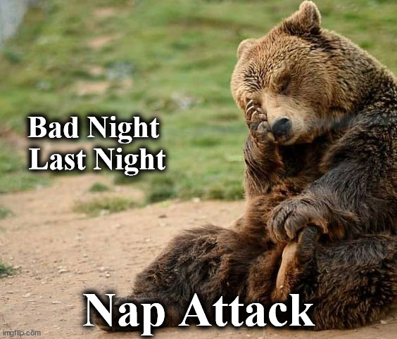 badnight | Bad Night
 Last Night; Nap Attack | image tagged in badnight | made w/ Imgflip meme maker