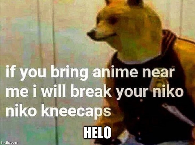 Niko niko kneecaps | HELO | image tagged in niko niko kneecaps | made w/ Imgflip meme maker