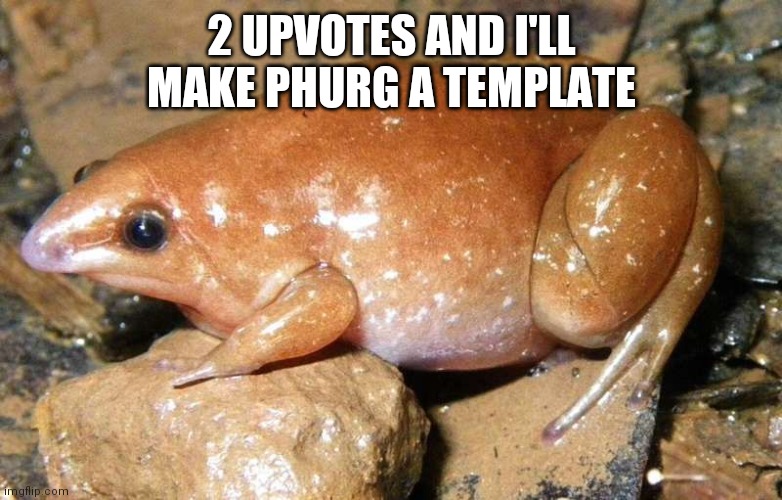 2 UPVOTES AND I'LL MAKE PHURG A TEMPLATE | made w/ Imgflip meme maker