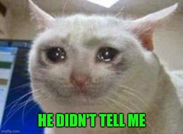 Sad cat | HE DIDN'T TELL ME | image tagged in sad cat | made w/ Imgflip meme maker