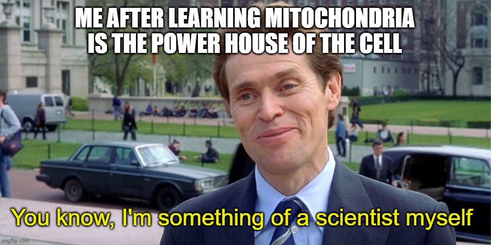 Scientist me |  ME AFTER LEARNING MITOCHONDRIA IS THE POWER HOUSE OF THE CELL; You know, I'm something of a scientist myself | image tagged in you know i'm something of a scientist myself | made w/ Imgflip meme maker