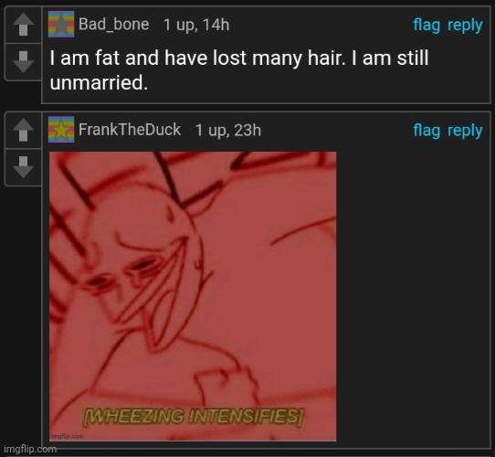 Two well placed comments | image tagged in comments,imgflip | made w/ Imgflip meme maker