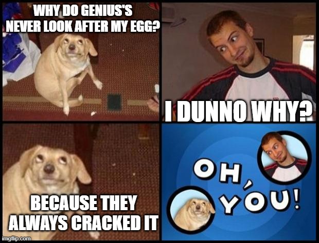 because for example "finally I cracked the case" | WHY DO GENIUS'S NEVER LOOK AFTER MY EGG? I DUNNO WHY? BECAUSE THEY ALWAYS CRACKED IT | image tagged in oh you | made w/ Imgflip meme maker