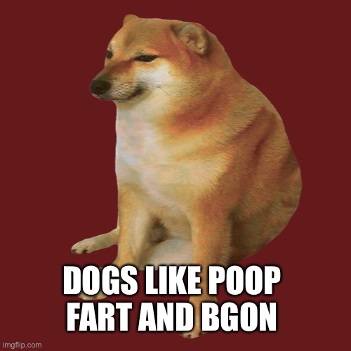 cheems | DOGS LIKE POOP FART AND BGON | image tagged in cheems | made w/ Imgflip meme maker