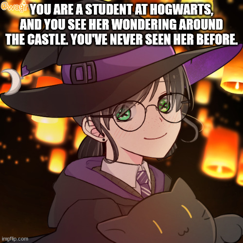 YOU ARE A STUDENT AT HOGWARTS, AND YOU SEE HER WONDERING AROUND THE CASTLE. YOU'VE NEVER SEEN HER BEFORE. | made w/ Imgflip meme maker