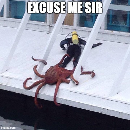 octopus | EXCUSE ME SIR | image tagged in octopus | made w/ Imgflip meme maker