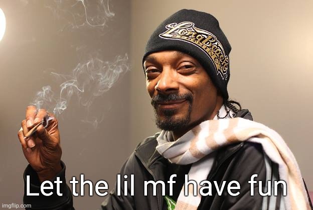 Snoop Dogg | Let the lil mf have fun | image tagged in snoop dogg | made w/ Imgflip meme maker