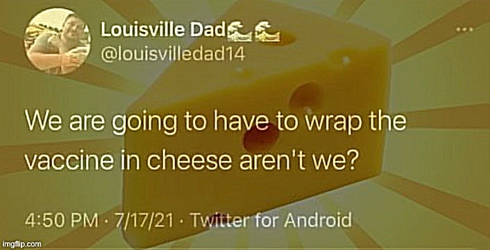 Wrap the vaccine in cheese | image tagged in wrap the vaccine in cheese,vaccines,vaccine,vaccinations,vaccination,wrap it in cheese | made w/ Imgflip meme maker