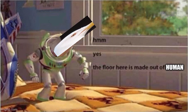 hmm yes the floor here is made out of floor | HUMAN | image tagged in hmm yes the floor here is made out of floor | made w/ Imgflip meme maker