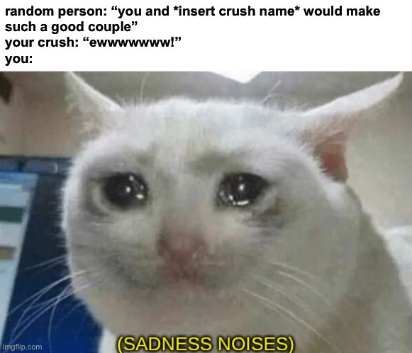 oof | random person: “you and *insert crush name* would make 
such a good couple”
your crush: “ewwwwwww!”
you: | image tagged in sadness noises,oof size large,when your crush | made w/ Imgflip meme maker