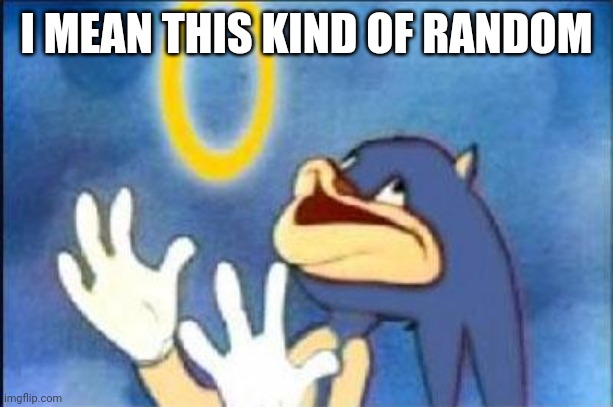 Sonic derp | I MEAN THIS KIND OF RANDOM | image tagged in sonic derp | made w/ Imgflip meme maker