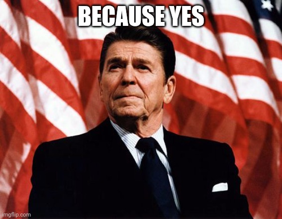 Reasonable Reagan | BECAUSE YES | image tagged in reasonable reagan | made w/ Imgflip meme maker
