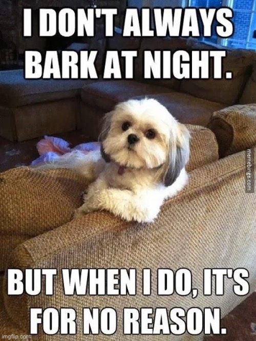 LOL | image tagged in dogs,animals,barking | made w/ Imgflip meme maker