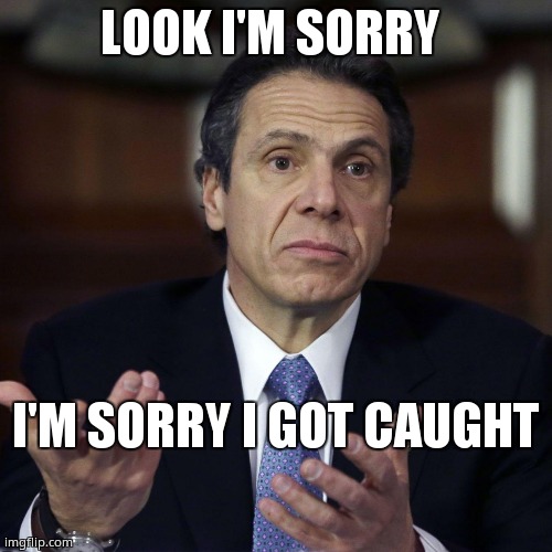 I'm Sorry | LOOK I'M SORRY; I'M SORRY I GOT CAUGHT | image tagged in andrew cuomo shrug | made w/ Imgflip meme maker