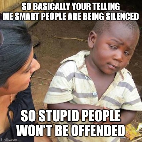 Third World Skeptical Kid | SO BASICALLY YOUR TELLING ME SMART PEOPLE ARE BEING SILENCED; SO STUPID PEOPLE WON’T BE OFFENDED | image tagged in memes,third world skeptical kid | made w/ Imgflip meme maker