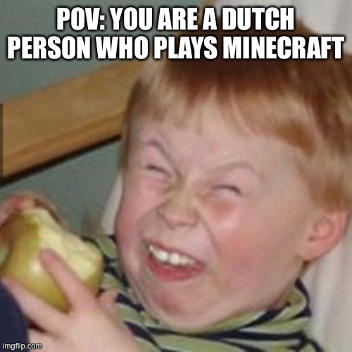 laughing kid | POV: YOU ARE A DUTCH PERSON WHO PLAYS MINECRAFT | image tagged in laughing kid | made w/ Imgflip meme maker