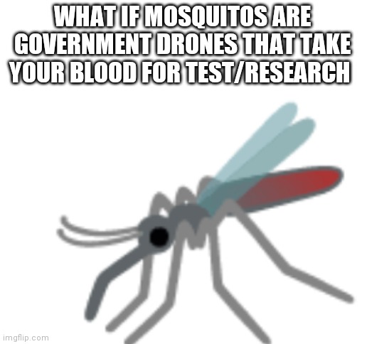 Then again why would the government care about me | WHAT IF MOSQUITOS ARE GOVERNMENT DRONES THAT TAKE YOUR BLOOD FOR TEST/RESEARCH; 🦟 | image tagged in blank white template | made w/ Imgflip meme maker