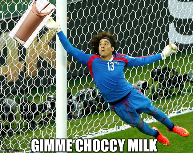 Gimme choccy milk | GIMME CHOCCY MILK | image tagged in choccy milk | made w/ Imgflip meme maker