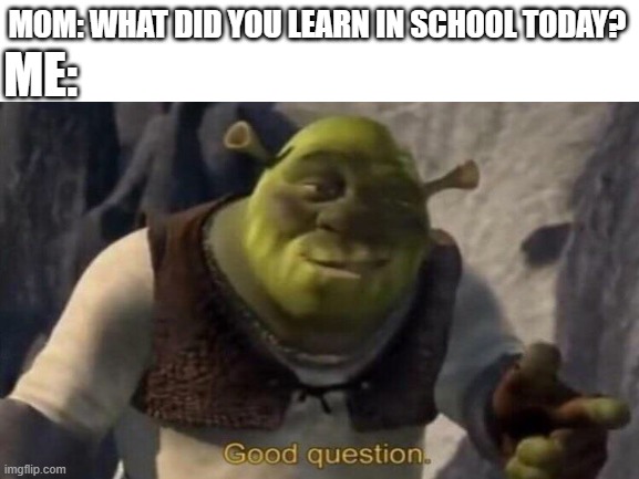 one brain cell remains | MOM: WHAT DID YOU LEARN IN SCHOOL TODAY? ME: | image tagged in shrek good question,shrek,funni,stop reading the tags | made w/ Imgflip meme maker