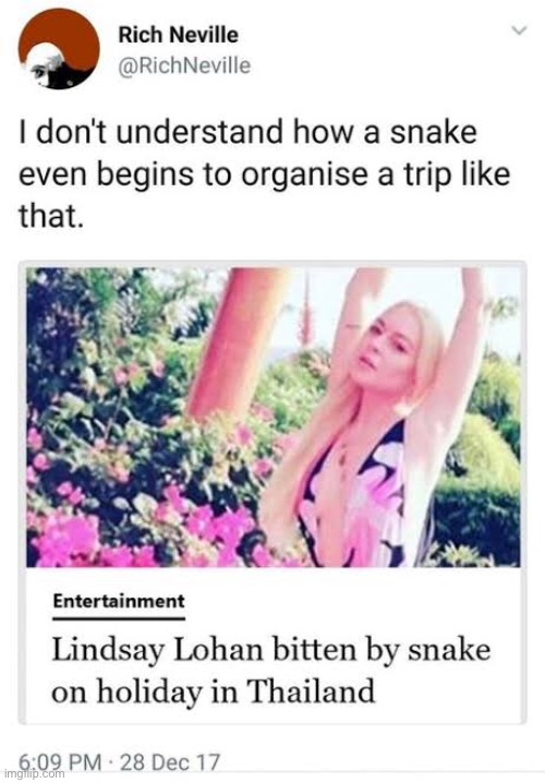 WTF | image tagged in lindsay lohan,snake,holiday | made w/ Imgflip meme maker