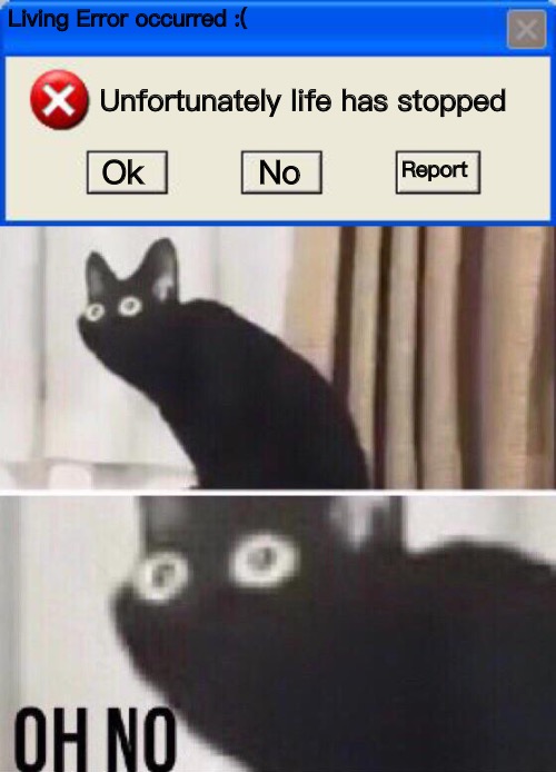 The more you know | Living Error occurred :(; Unfortunately life has stopped; Report; Ok; No | image tagged in windows xp error,oh no cat | made w/ Imgflip meme maker