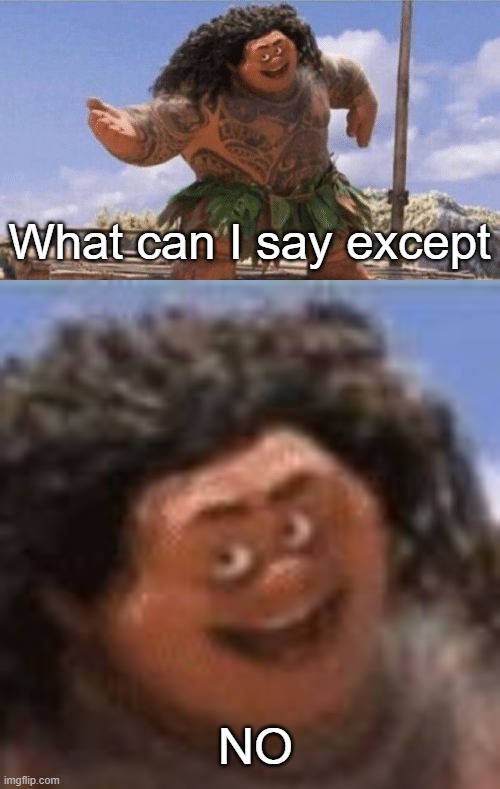 NO What can I say except | image tagged in what can i say except x | made w/ Imgflip meme maker