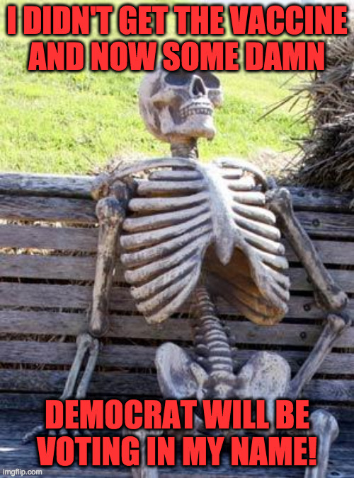 Don't let the Dems win again.  Get the vaccine. | I DIDN'T GET THE VACCINE
AND NOW SOME DAMN; DEMOCRAT WILL BE
VOTING IN MY NAME! | image tagged in memes,waiting skeleton,covid-19,vaccination nation | made w/ Imgflip meme maker