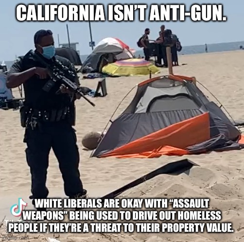 Pigs with Guns | CALIFORNIA ISN’T ANTI-GUN. WHITE LIBERALS ARE OKAY WITH “ASSAULT WEAPONS” BEING USED TO DRIVE OUT HOMELESS PEOPLE IF THEY’RE A THREAT TO THEIR PROPERTY VALUE. | image tagged in gun control,2nd amendment,acab,police brutality,homeless | made w/ Imgflip meme maker