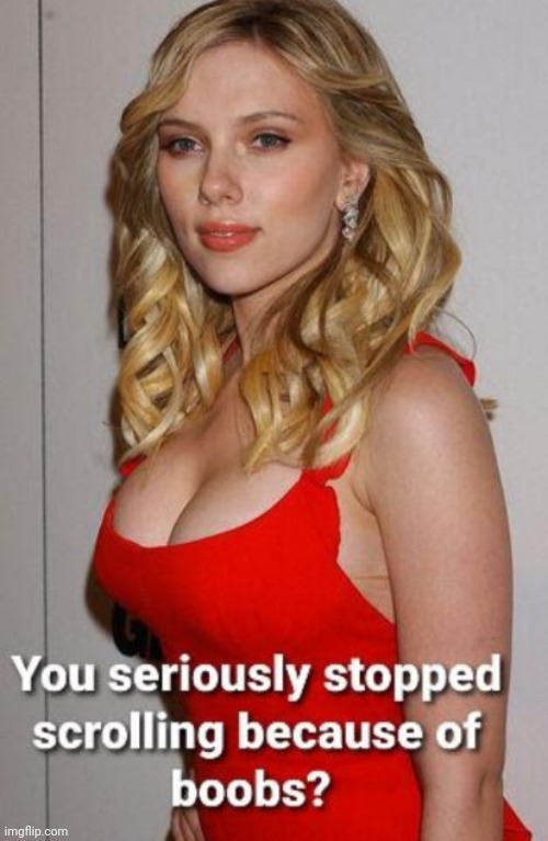 image tagged in funny memes | made w/ Imgflip meme maker