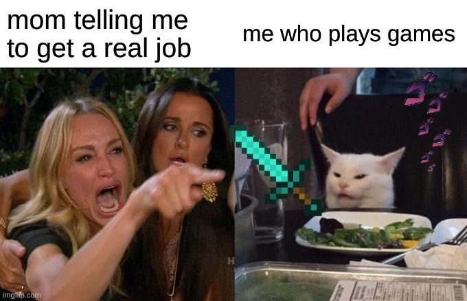 Woman Yelling At Cat | mom telling me to get a real job; me who plays games | image tagged in memes,woman yelling at cat | made w/ Imgflip meme maker