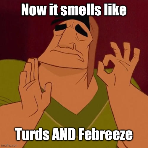 When X just right | Now it smells like Turds AND Febreeze | image tagged in when x just right | made w/ Imgflip meme maker