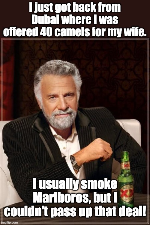 A deal is a deal |  I just got back from Dubai where I was offered 40 camels for my wife. I usually smoke Marlboros, but I couldn't pass up that deal! | image tagged in memes,the most interesting man in the world | made w/ Imgflip meme maker