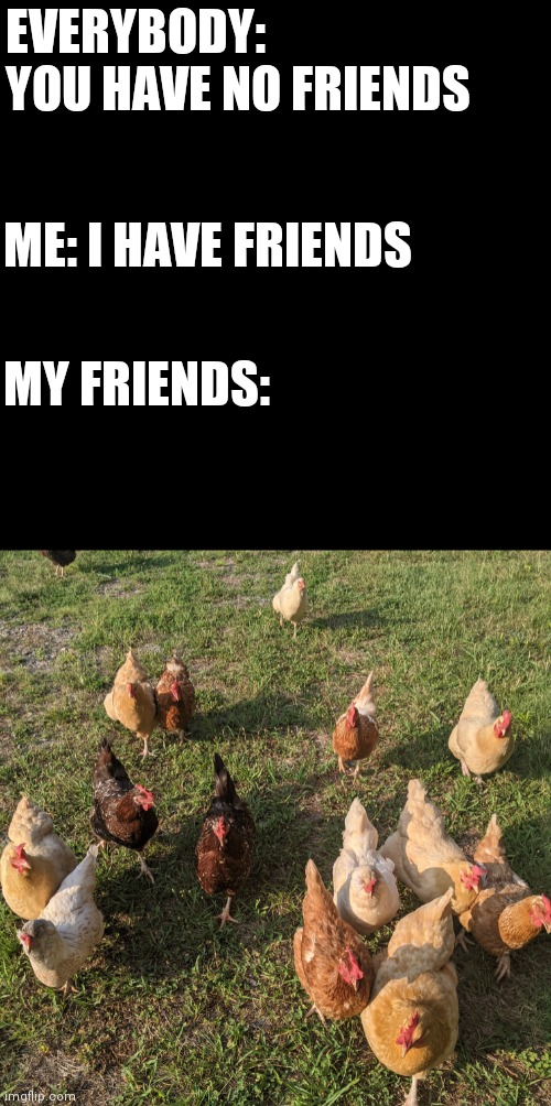 EVERYBODY: YOU HAVE NO FRIENDS; ME: I HAVE FRIENDS; MY FRIENDS: | image tagged in memes,chicken,magnet,friends | made w/ Imgflip meme maker