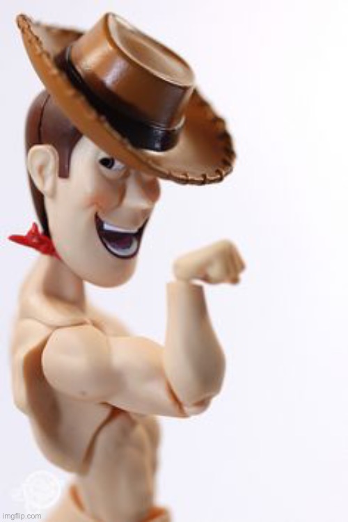 Just so ya know it’s censored, and if any mods approving this are confused, woody is a boy XD | image tagged in tags,ha ha tags go brr | made w/ Imgflip meme maker