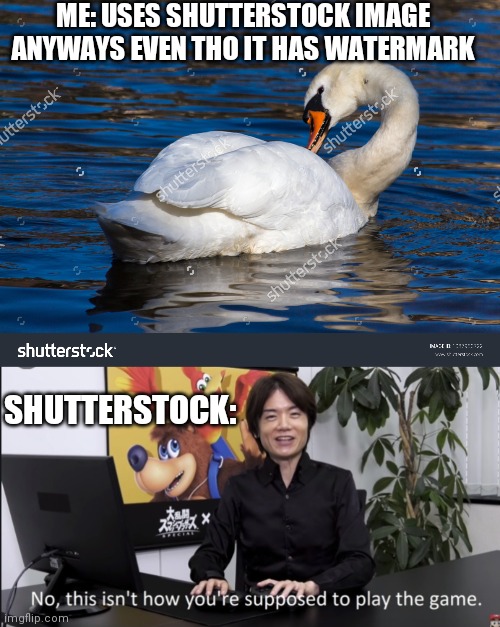 ME: USES SHUTTERSTOCK IMAGE ANYWAYS EVEN THO IT HAS WATERMARK; SHUTTERSTOCK: | image tagged in no that s not how your supposed to play the game | made w/ Imgflip meme maker