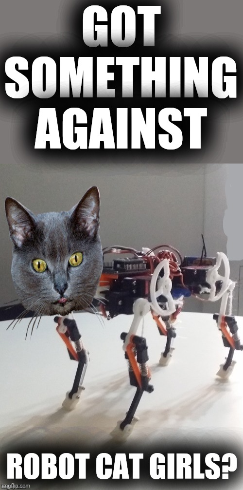 Robocat | GOT SOMETHING AGAINST ROBOT CAT GIRLS? | image tagged in robocat | made w/ Imgflip meme maker